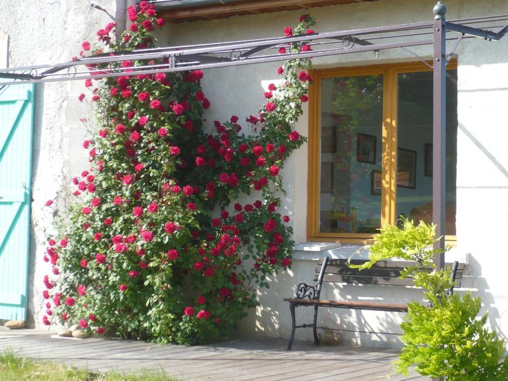 Les Garennes Hotel Saint-Uze Exterior photo